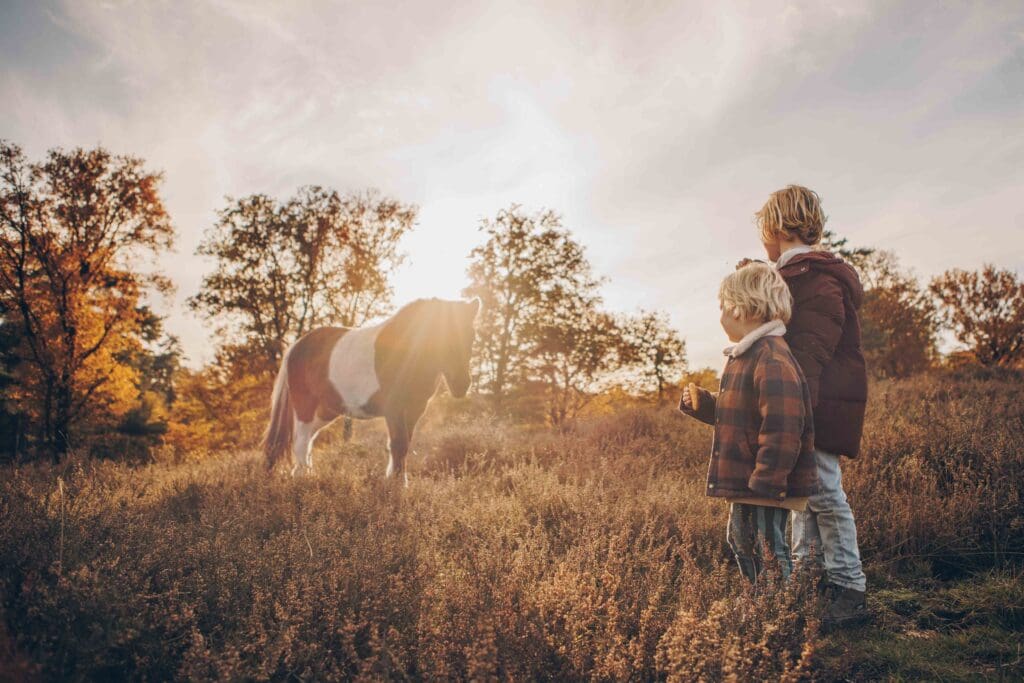 Gezinswandeling Posbank met de camera op zak